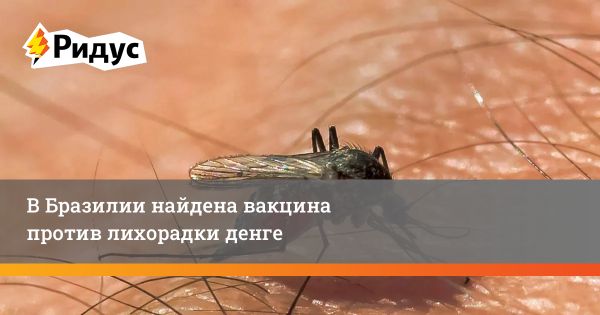 Вакцина против лихорадки денге: новые результаты исследования