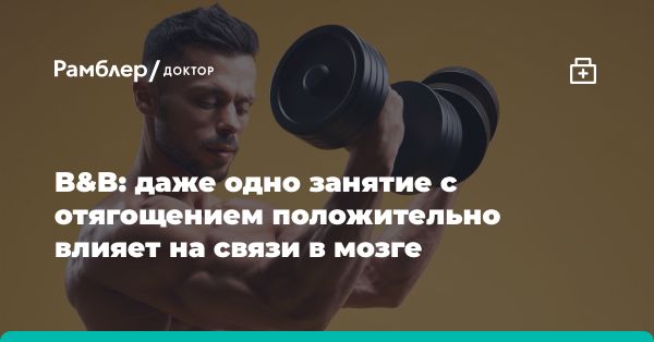 Исследование: силовые тренировки улучшают память и работу мозга