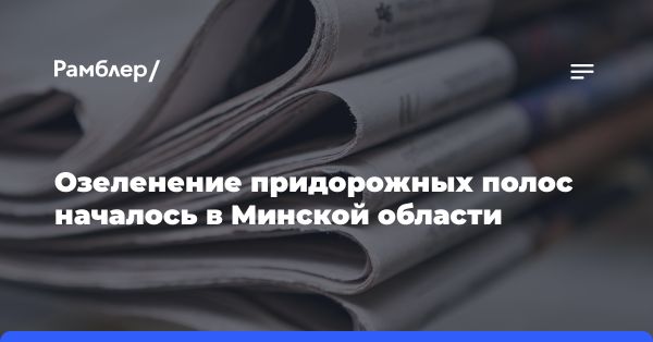 Масштабная программа озеленения дорожных трасс в Беларуси