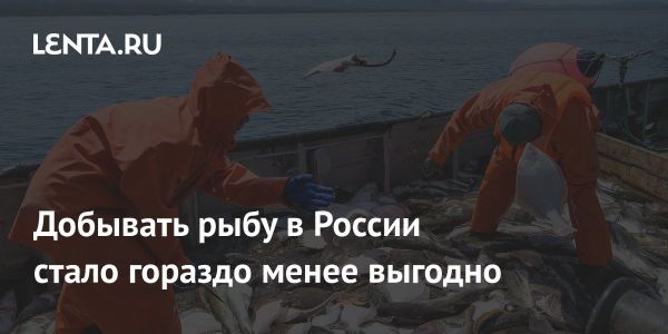 Замедление роста доходов рыбодобытчиков России в 2024 году