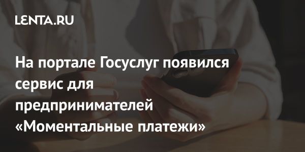 Новый сервис мгновенных платежей на Госуслугах для бизнеса