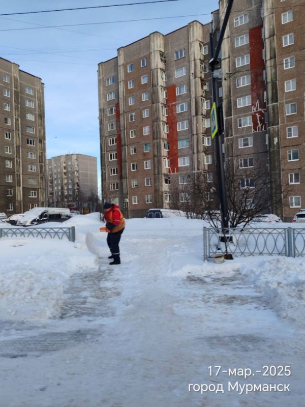 Снегопады в Мурманске вызвали увеличение работ по уборке и профилактике правонарушений