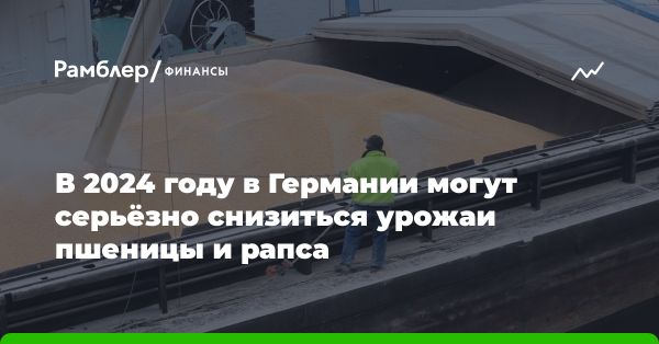 Снижение урожайности зерновых культур в Германии