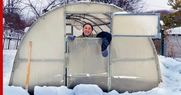 Первые мартовские шаги садовода: подготовка участка и защита от грызунов