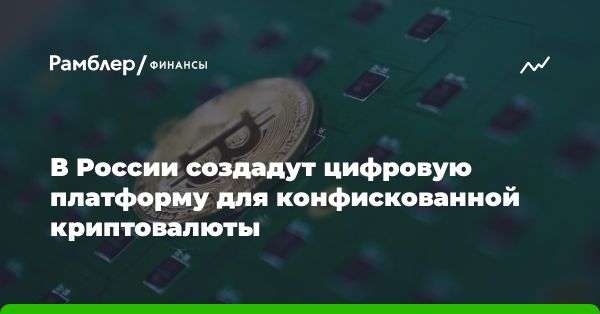 Россия планирует создать государственную цифровую платформу для конфискованной криптовалюты