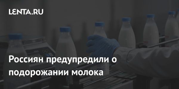 Прогноз роста цен на молоко в России к осени 2024 года и проблема контрафактной продукции