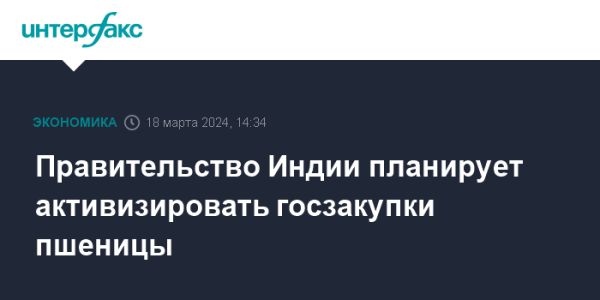 Планы правительства Индии по госзакупкам пшеницы: прогнозы и перспективы