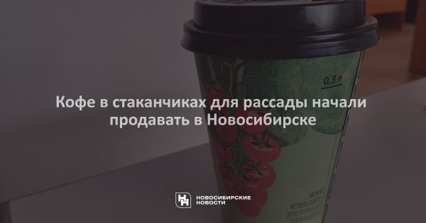 Новосибирская кофейня предлагает использовать одноразовые стаканчики для выращивания рассады