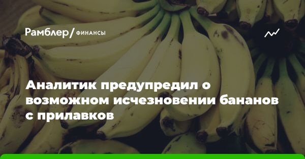 Прогноз повышения цен на бананы и изменения на рынке поставок