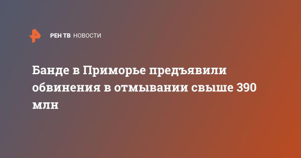 Преступная группировка в Приморье: отмывание 390 млн рублей