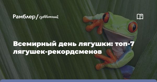 Необычные представители лягушек мира: от африканских узкоротов до пурпурных лягушек