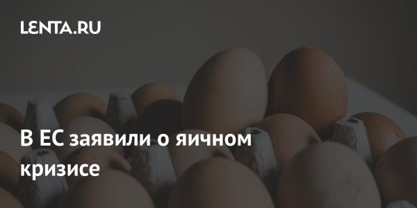 Депутат Буда о кризисе на рынке яиц в ЕС из-за птичьего гриппа