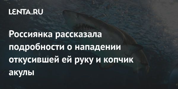 История о нападении акулы на пляже в Египте