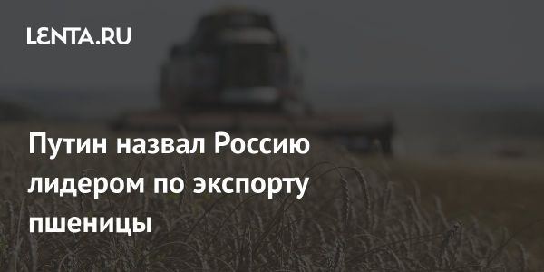 Россия лидер по экспорту пшеницы: заявление Путина