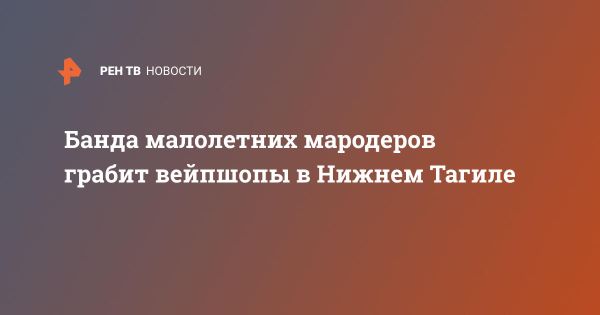 Охота за бандой малолетних грабителей в Нижнем Тагиле