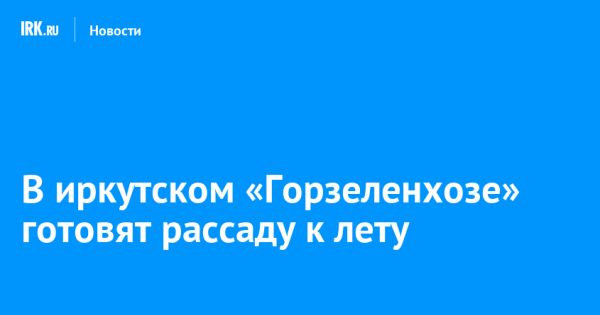 Улучшение озеленения города Иркутска: новости и планы