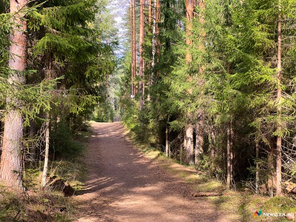 Сводный план тушения лесных пожаров в Кировской области