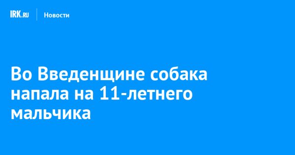 Алабай напал на ребенка в Введенщине