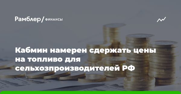 Меры по стабилизации рынка нефтепродуктов и топлива в России