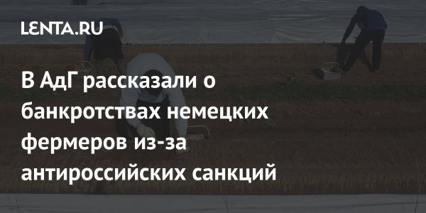 Выступление Арно Бауземера против антироссийских санкций