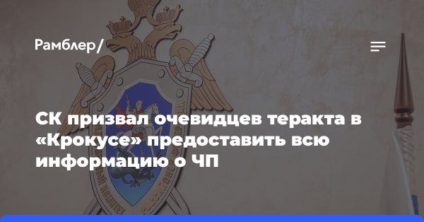 Следствие о теракте в Крокус Сити Холл: просьба очевидцам помочь