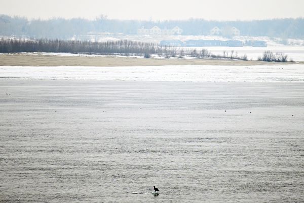 Охрана водных ресурсов Волгоградской области