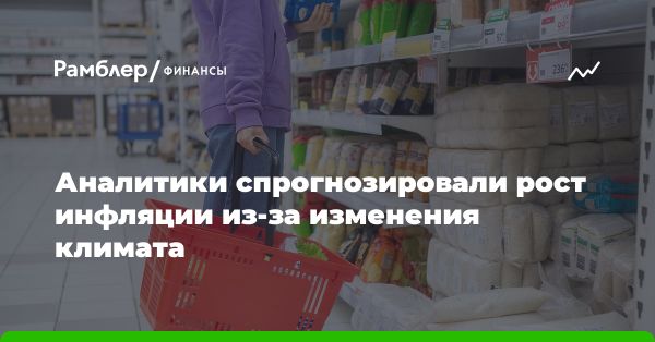 Изменение климата и рост цен на продукты: прогноз развития