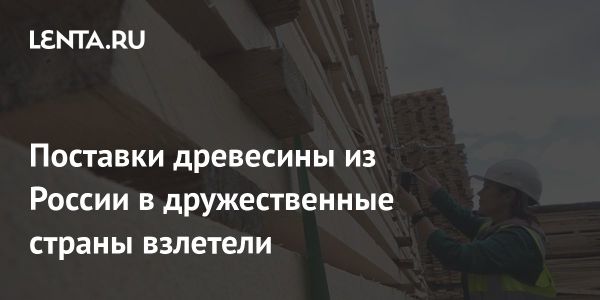 Рост экспорта древесины России в дружественные страны в 2023 году