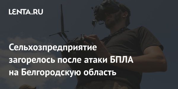 Пожар на сельскохозяйственном предприятии в Белгородской области после атаки ВСУ: подробности