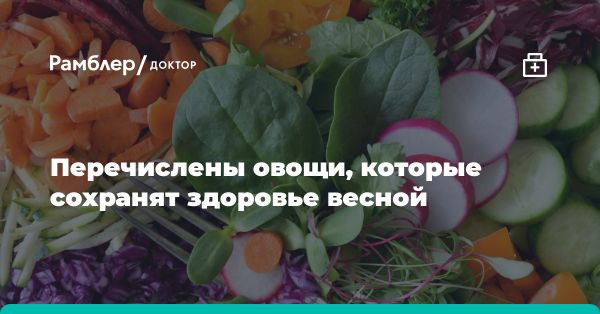 Репчатый лук, хрен, чеснок, пастернак и сельдерей: секреты здорового питания