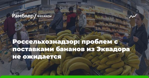 Россия и поставки бананов: диверсификация и надежность