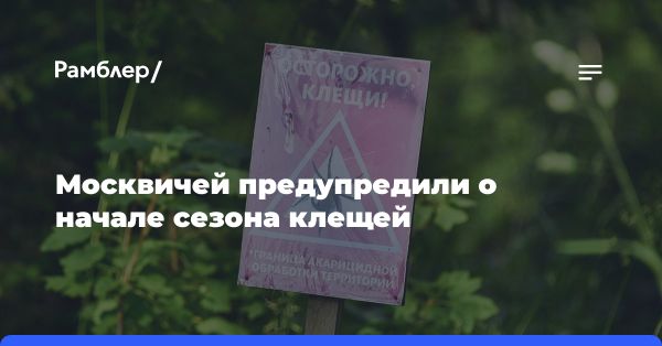 Повышенная активность клещей в Москве: как защитить себя и питомцев