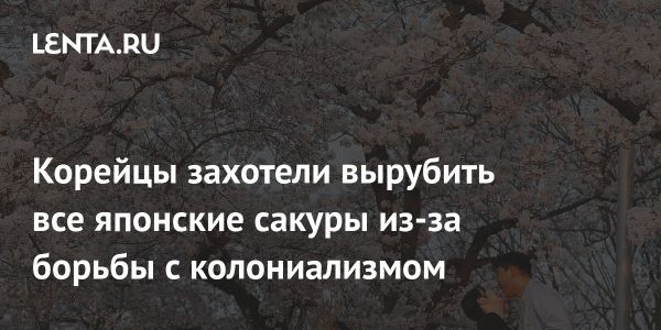 Южнокорейские активисты выступают против японских сакур