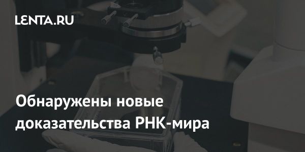 Исследования по гипотезе РНК-мира: возникновение саморепликации