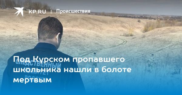 Исчезновение мальчика в деревне Чапли: хронология и поиск