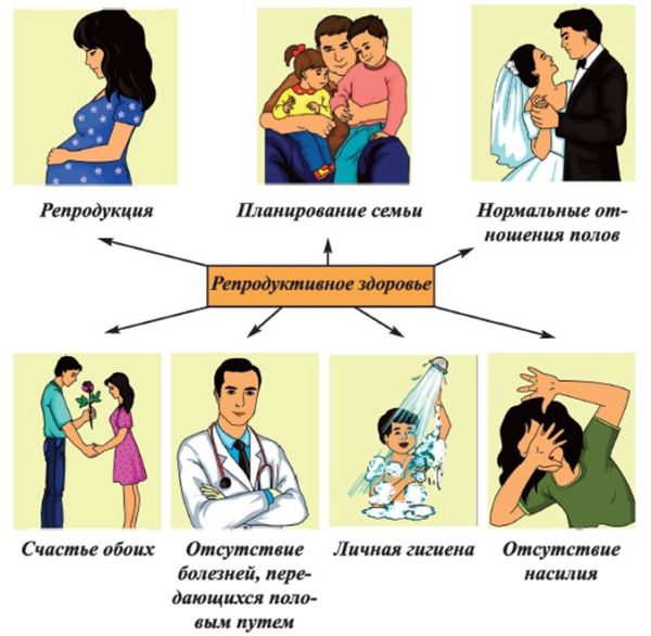 Болезненные менструации и эндометриоз: причины, симптомы, лечение