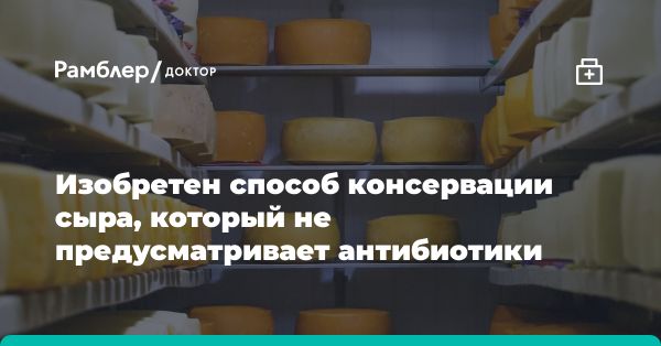 Инновационный метод биоконсервации белого сыра без антибиотиков