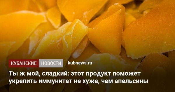 Полезные свойства сушеного манго для здоровья