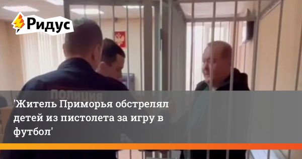 Уголовное преследование жителя Уссурийска за стрельбу по детской площадке