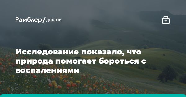 Взаимосвязь человека и природы: влияние на здоровье