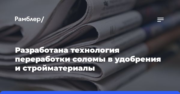 Инновационные технологии переработки рисовой соломы в экологические материалы