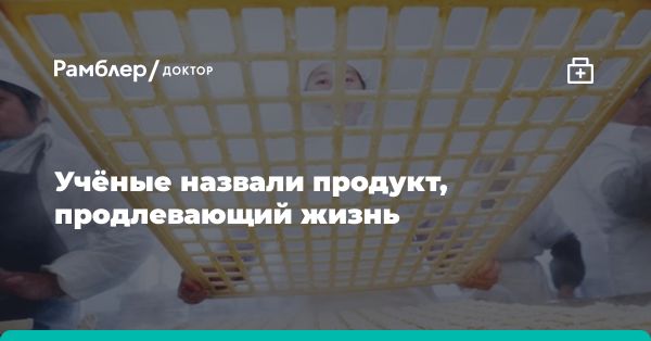 Польза тофу для здоровья и долголетия