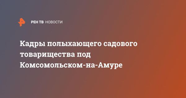 Пожар вблизи Комсомольска-на-Амуре уничтожил дачи и лес