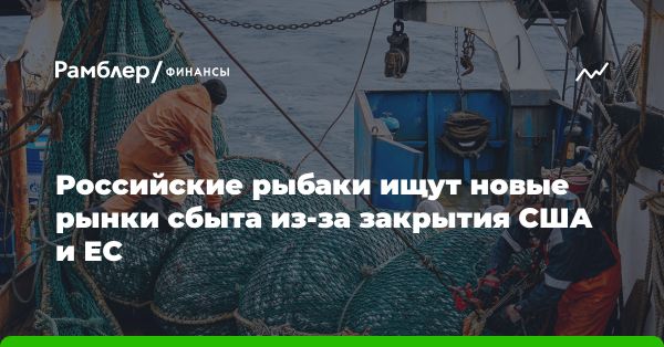 Экспорт российской рыбы: новые рынки сбыта