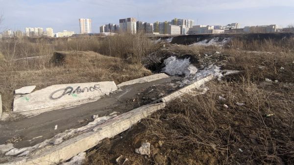 Парк 300-летия Барнаула: предварительные результаты голосования