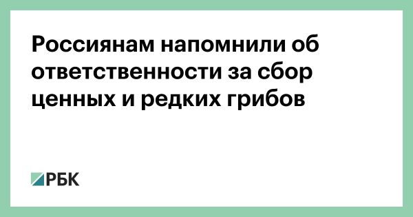 Юридические риски сбора редких грибов в России