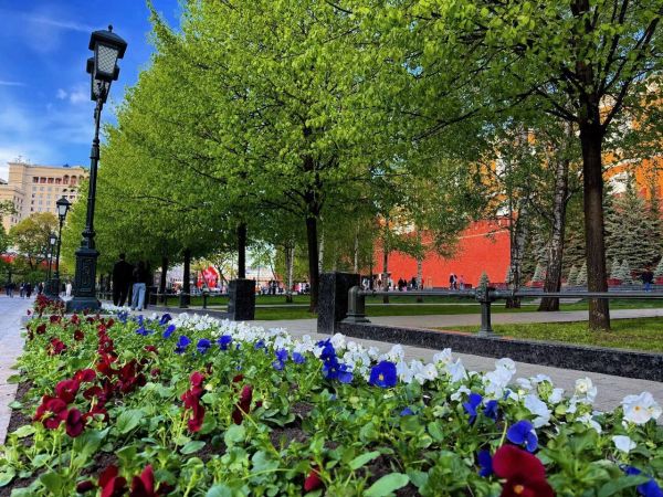 Москва готовится к 80-летию Великой Победы с праздничным оформлением