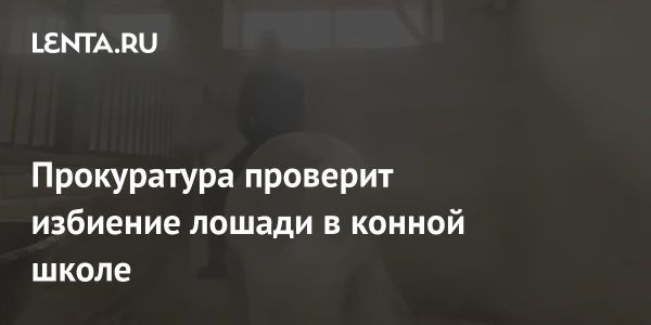 Прокуратура проверяет жестокое обращение с лошадью в Нижегородской области