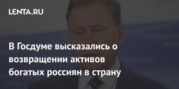 Возвращение активов богатых россиян: мнение заместителя председателя Госдумы