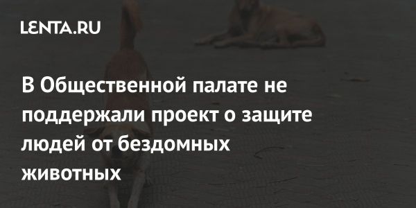 Общественная палата отклонила законопроект о защите от нападений животных